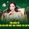 casino game đá gà trực tiếp casino 🎰 67